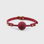 Load image into Gallery viewer, Seductive Silicone Gag