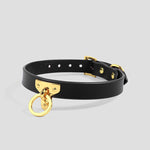 Load image into Gallery viewer, Golden Clasp Leather Collar Set
