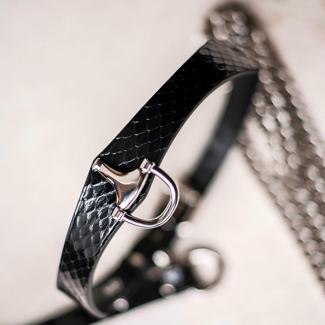 Silver Lock Snake Skin Collar Set (Pure Handcraft)