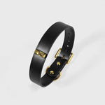 Load image into Gallery viewer, Midnight &amp; Gold Leather Collar Set
