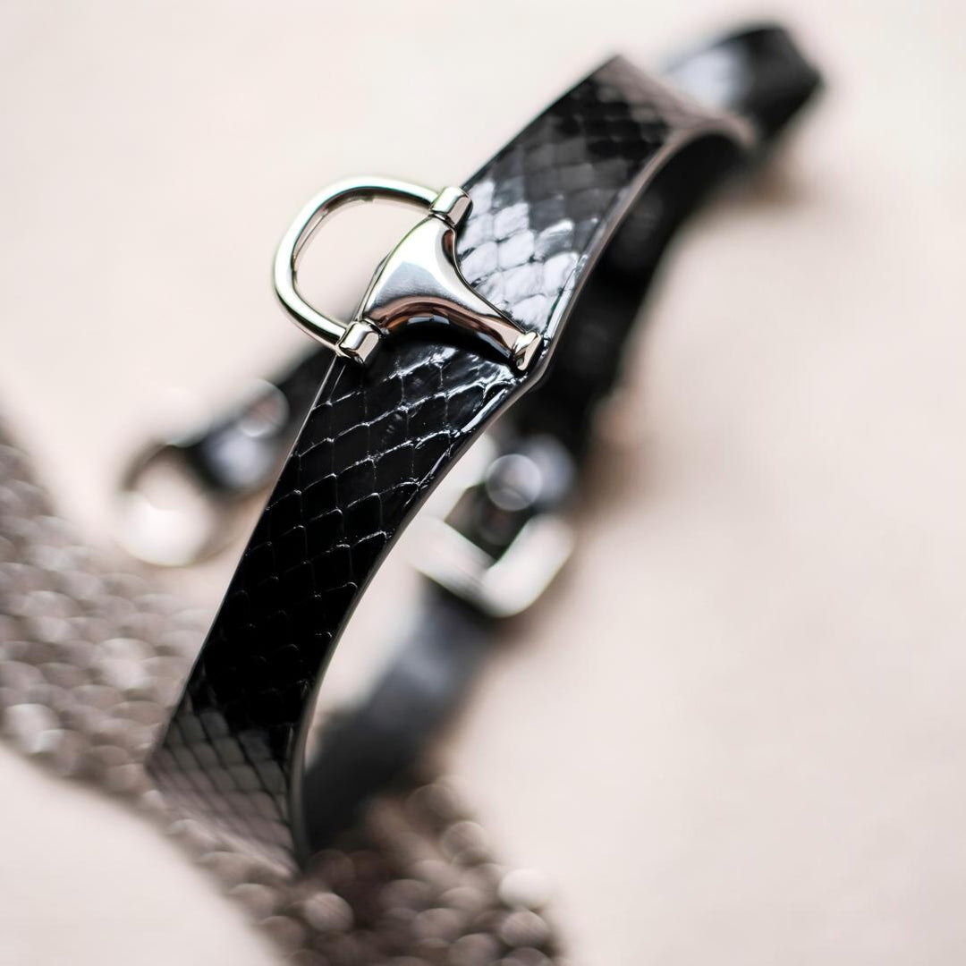 Silver Lock Snake Skin Collar Set (Pure Handcraft)