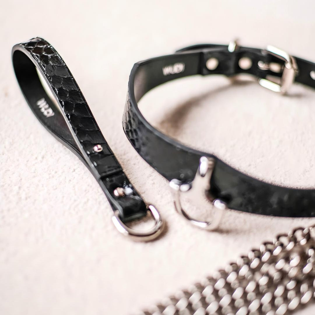 Silver Lock Snake Skin Collar Set (Pure Handcraft)