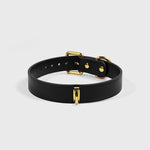 Load image into Gallery viewer, Midnight &amp; Gold Leather Collar Set
