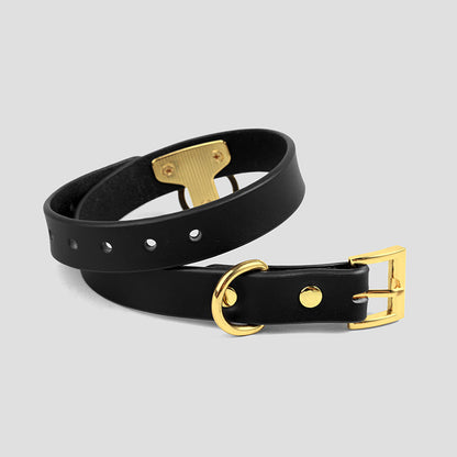 Golden Clasp Leather Collar Set