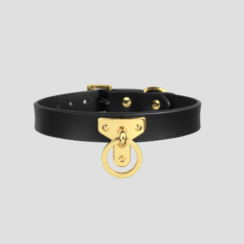 Golden Clasp Leather Collar Set