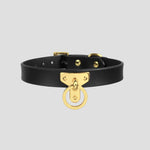 Load image into Gallery viewer, Golden Clasp Leather Collar Set
