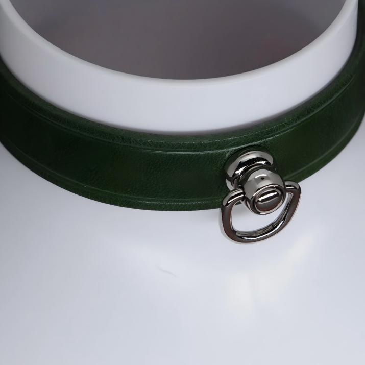 Leather Bondage Collar Set (Handcrafted)