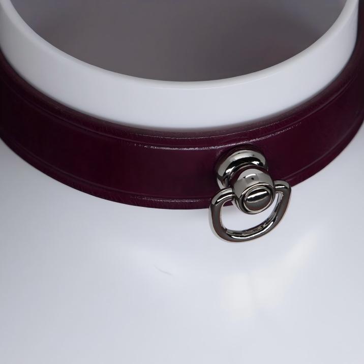Leather Bondage Collar Set (Handcrafted)