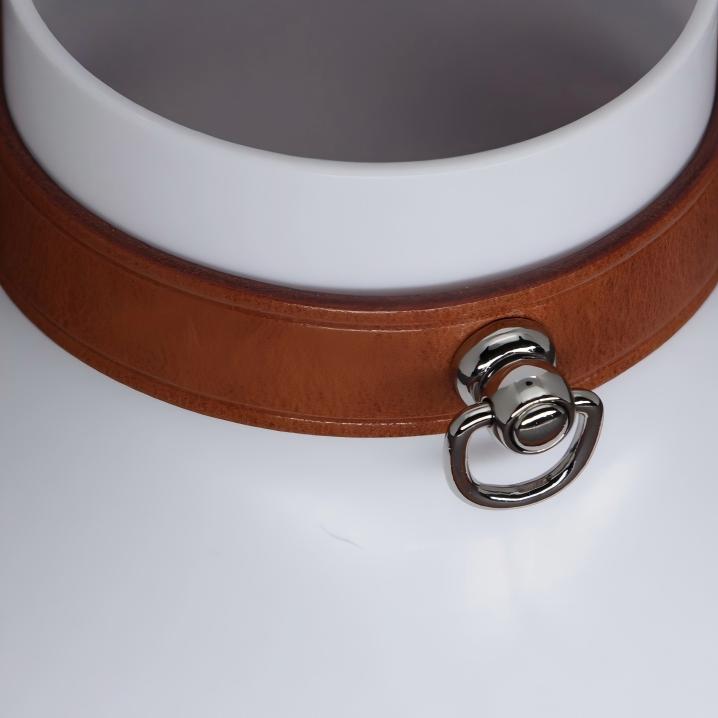 Leather Bondage Collar Set (Handcrafted)