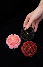 Load image into Gallery viewer, 【Gilded Rose】Classic Low Temperature Candle
